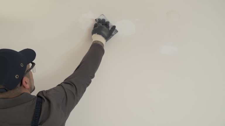 Best Residential Painting  in Warren, MI